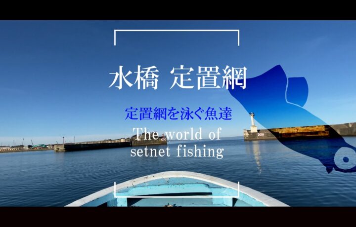 【動画制作】水橋食堂 漁夫様に漁業PR動画　を制作しました
